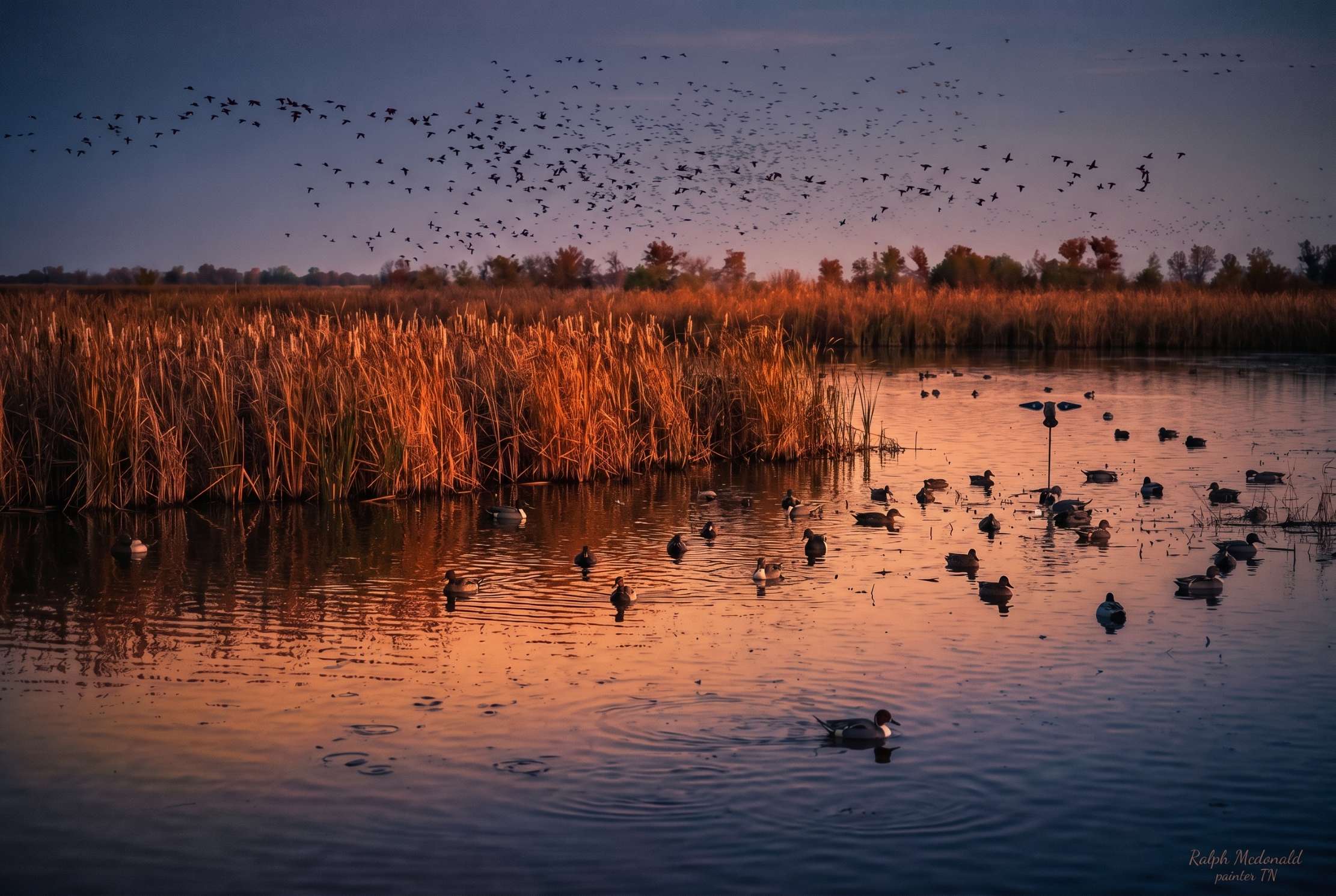 Hunting photo